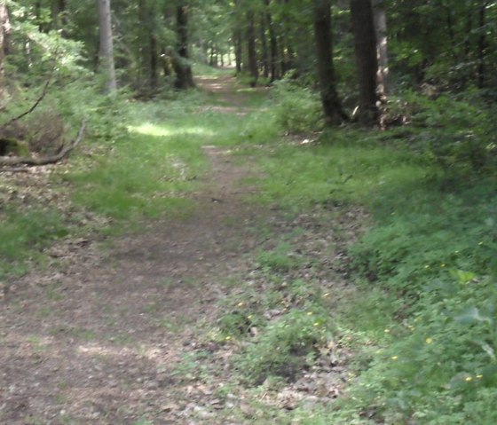 Les environs de Herforst