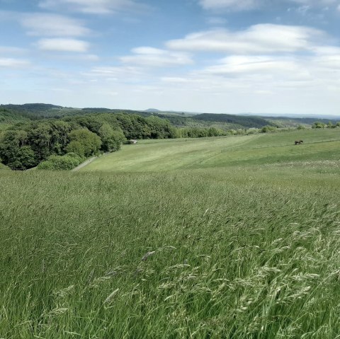 Eifelzicht Nonnenbacher Weg, © Gemeinde Blankenheim