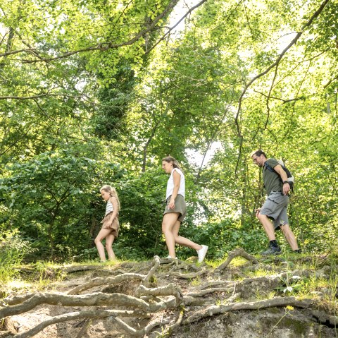 Wandelen rond het Laacher meer, © Eifel tourismus GmbH, Dominik Ketz