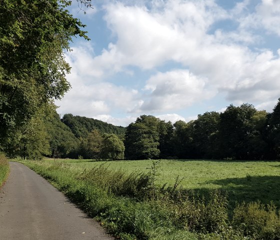 Vue sur la vallée de l'Elz, © Svenja Schulze-Entrup/Touristik-Büro Vordereifel