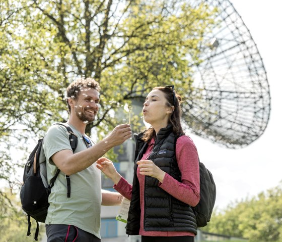 Summer fun with dandelions while hiking on the EielSchleife Of stars and Romans, © Eifel Tourismus GmbH, AR-shapefruit AG