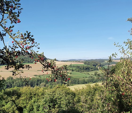Panoramablick ins Enztal mit grünen Feldern, Bäumen und roten Beeren im Vordergrund unter klarem, blauem Himmel., © TI BItburger Land - Steffi Wagner