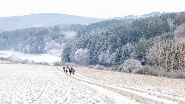 Eine verschneite Landschaft mit einem Weg, auf dem mehrere Wanderer gehen. Im Hintergrund sind Bäume und sanfte Hügel zu sehen.