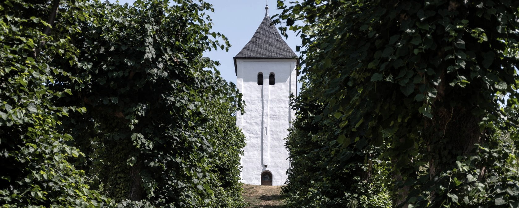 Allée Swister Turm, EifelSpur entre Ville et Eifel, © Nordeifel Tourismus GmbH