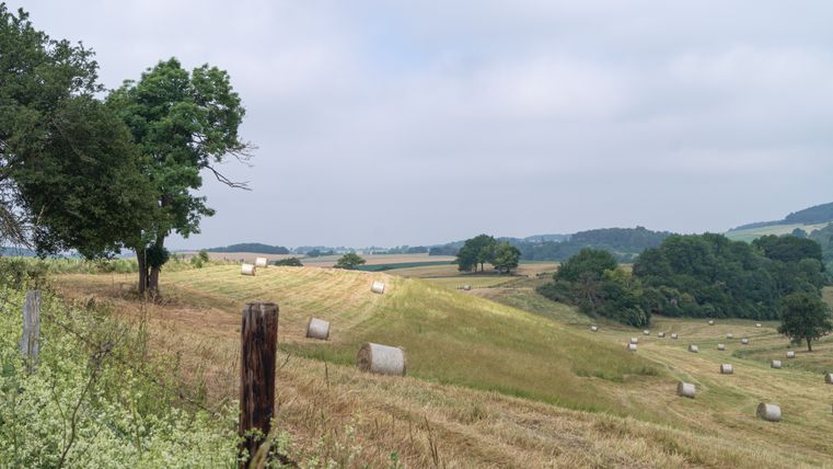 Landschaft mit Feldern, Bäumen und Heuballen unter bewölktem Himmel.