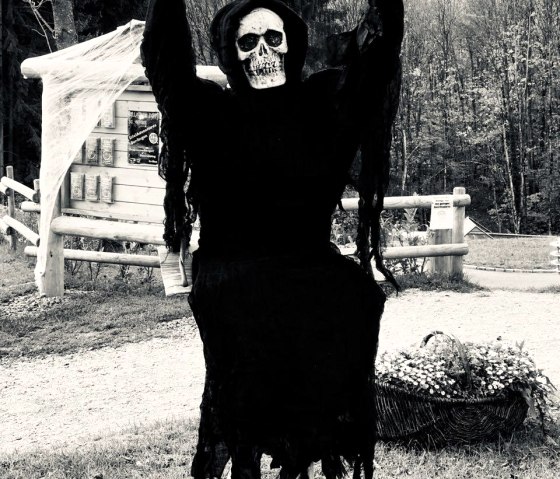 Halloween, © Saxler