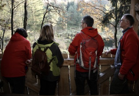 Observation du castor en soirée