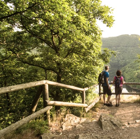 Vue sur le barrage de l'Urft, © Eifel Tourismus GmbH, D. Ketz