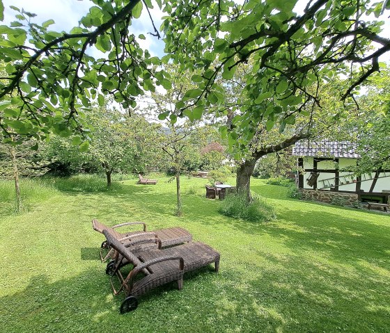 idyllic garden with fruit trees, © Pannhausen