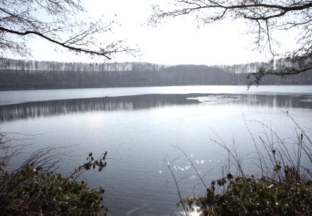 Ein Maar.... oder doch Kratersee?, © Gesundland Vulkaneifel GmbH