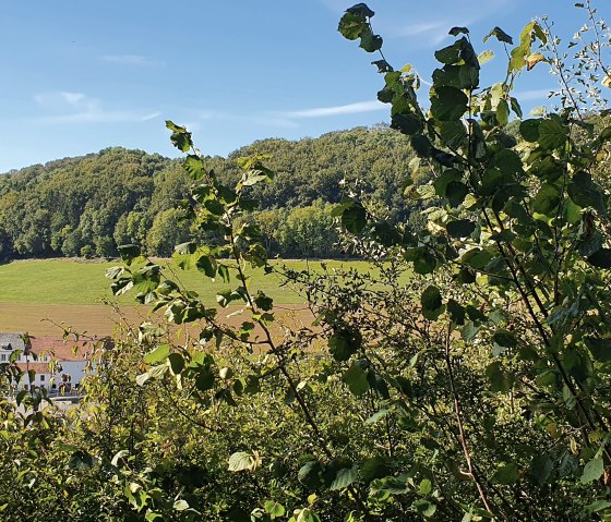 Ein altes Bauernhaus im Tal, umgeben von grünen Bäumen und Wiesen unter blauem Himmel., © TI BItburger Land - Steffi Wagner