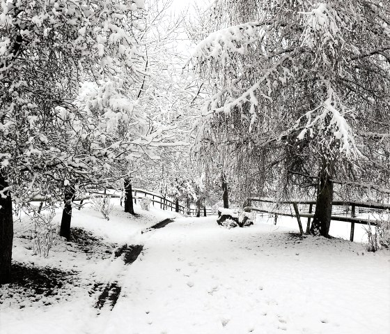 Wintertime