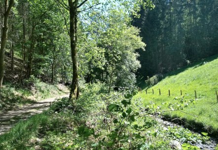 Tiefenbachdal in de lente, © Gemeinde Simmerath