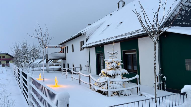 A snow-covered house with a small Christmas tree in the foreground. The surroundings are calm and wintry, with a white carpet of snow and a gray sky.