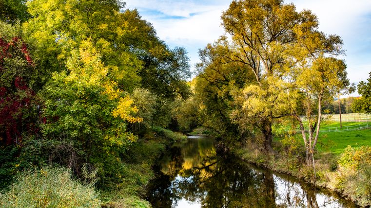 Een rivier stroomt door een herfstlandschap met bomen in verschillende tinten groen en gele bladeren.