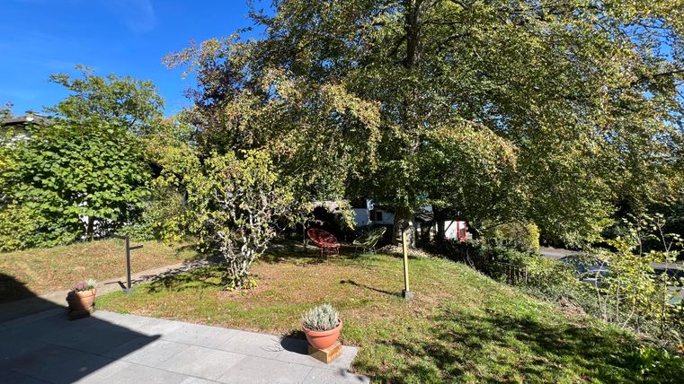 Ein ruhiger Garten mit viel Grün und einigen Bäumen. Im Hintergrund sind gemütliche Stühle und ein kleiner Weg sichtbar.