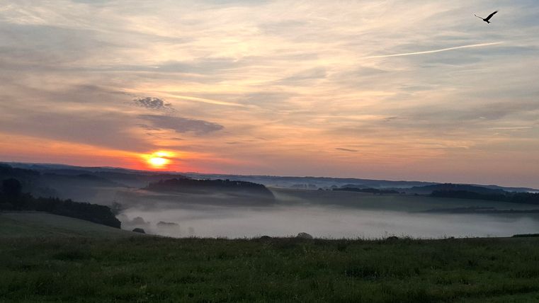 Een schilderachtig landschap bij zonsopgang met zachte heuvels en mist in de vallei. De lucht is gehuld in zachte kleuren terwijl een vogel erboven vliegt.