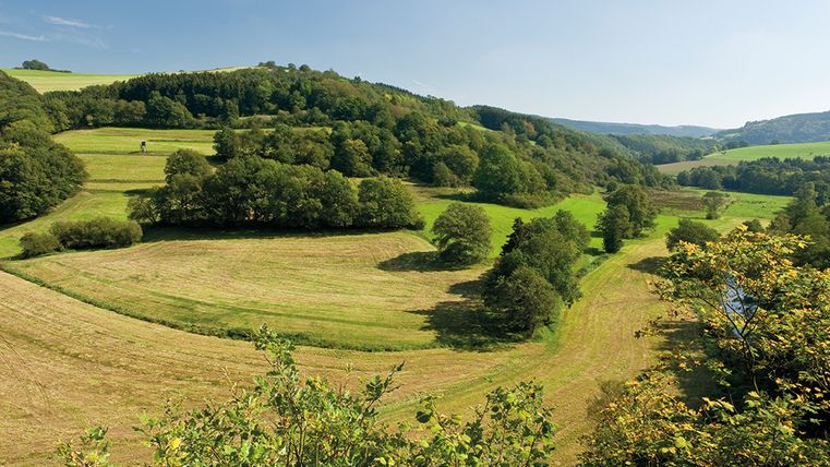 Paysage dans l'Eifel avec des prairies vertes et des collines boisées sous un ciel bleu.