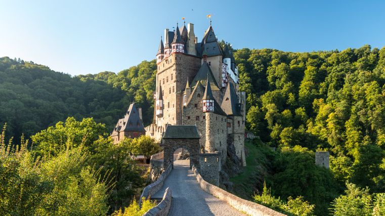 Kasteel Eltz met brug en bos op de achtergrond.