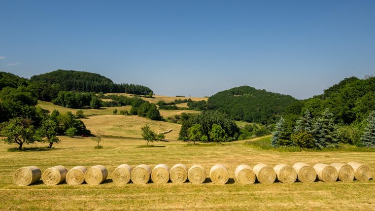 Een schilderachtig landschap met een reeks hooibalen op een groene wei. Op de achtergrond zijn zachte heuvels en bomen zichtbaar.