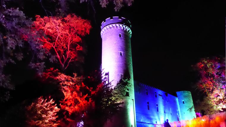 Eine beleuchtete Burg steht im Vordergrund, umgeben von bunten, leuchtenden Bäumen. Die Szene spielt sich nachts ab und schafft eine mystische Atmosphäre.
