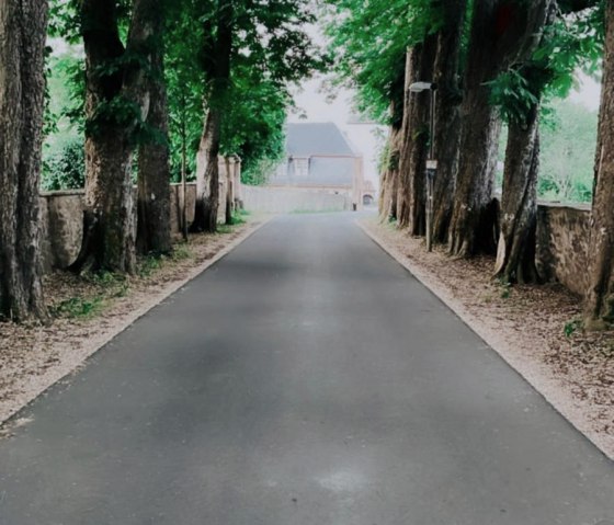 Allee, © Nordeifel Tourismus GmbH & L´Extravagante