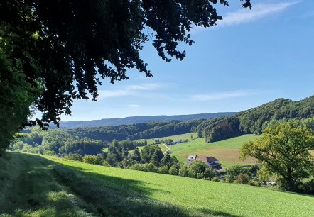 Panoramablick über das Enztal mit grünen Wiesen, Wäldern und einem Bauernhof unter blauem Himmel. Schatten von Bäumen im Vordergrund., © TI BItburger Land - Steffi Wagner