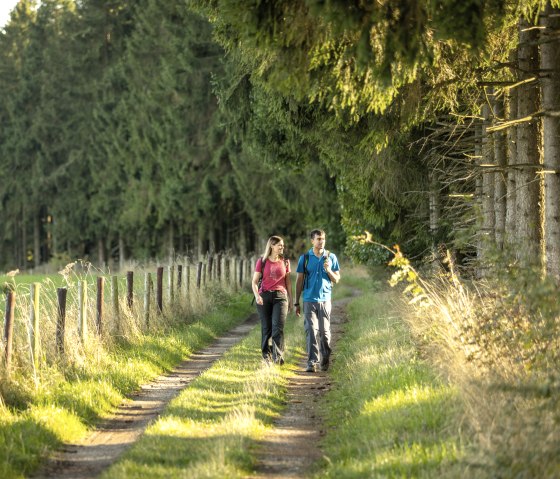 ET-2022-139-Umfeld Greifvogelstation, Harperscheid-@Eifel Tourismus GmbH, Dominik Ketz, © Eifel Tourismus GmbH, Dominik Ketz