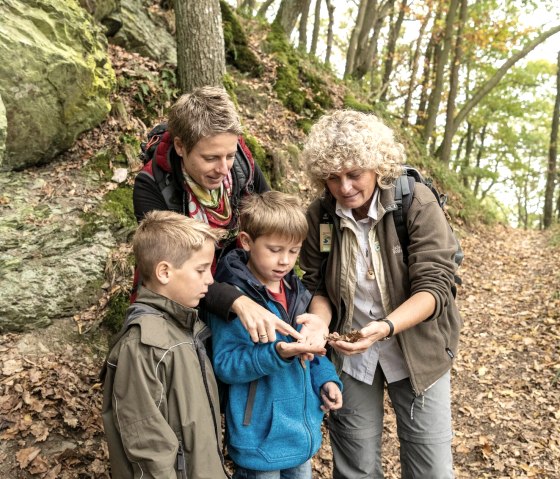 Familiedag met een bosgids, © D. Ketz