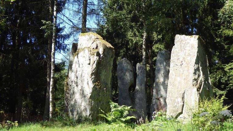Eine Gruppe großer Steine steht im grünen Wald. Umgeben von Bäumen und grüner Vegetation strahlt der Ort eine geheimnisvolle Atmosphäre aus.