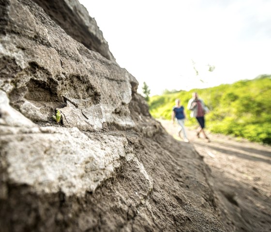 Découvrir les couches de roches du passé volcanique sur le sentier volcanique, © Eifel Tourismus GmbH, Dominik Ketz