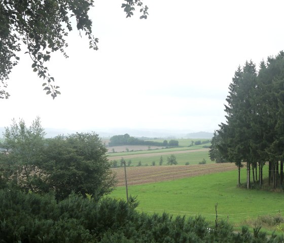 Vacation cottage Ammermann view, © Touristik GmbH Gerolsteiner Land > A. Kube