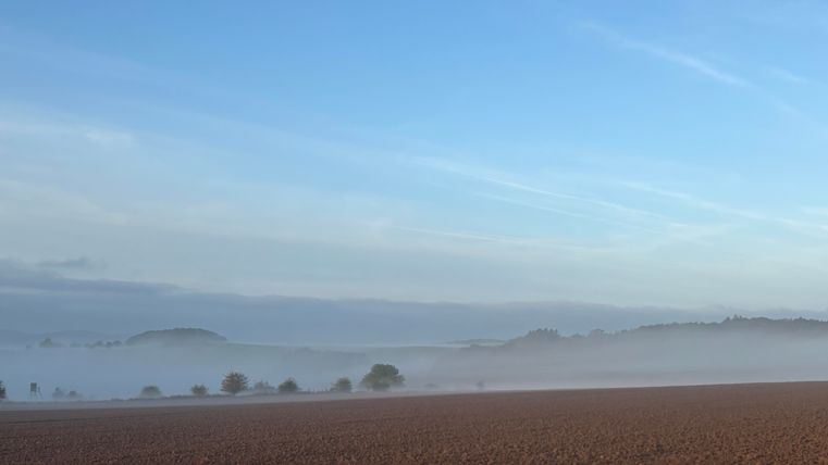 A calm landscape image with a brown field and light fog. The sky is clear and blue, while gentle hills are visible in the background.