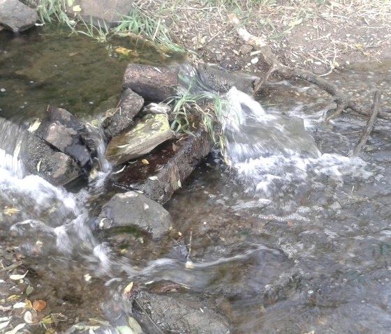 Natur pur