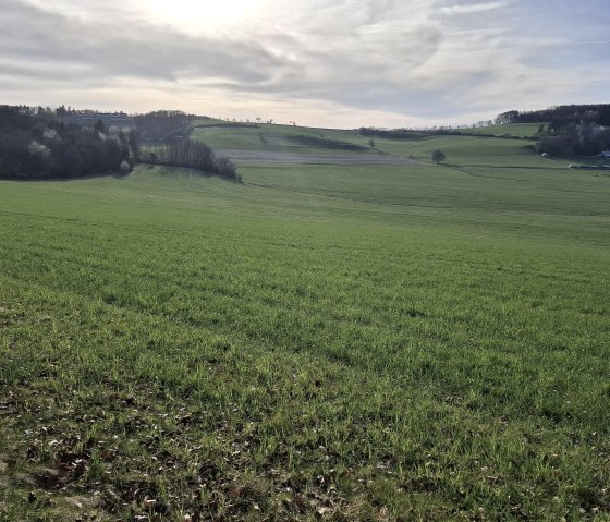 Blick ins Tal