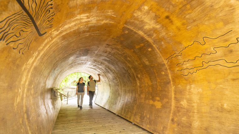 Zwei Personen gehen durch einen tunnelartigen Holzsteg am Wilden Kermeter auf dem Wilden Weg. Die begehbare Konstruktion ist einem hohlen Baumstamm nachempfunden.