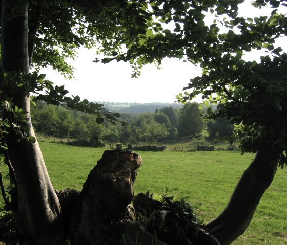 View on the Heckenlandroute hiking tour, © Monschauer Land/G. Scheidt
