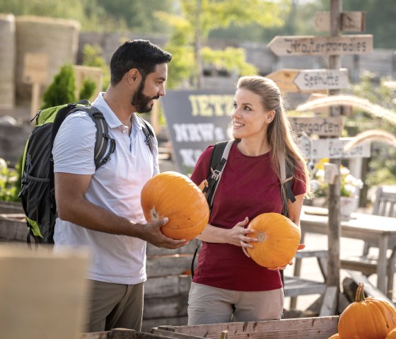 Visite du Krewelshof pour l'exposition de citrouilles, © Eifel Tourismus GmbH, Dominik Ketz