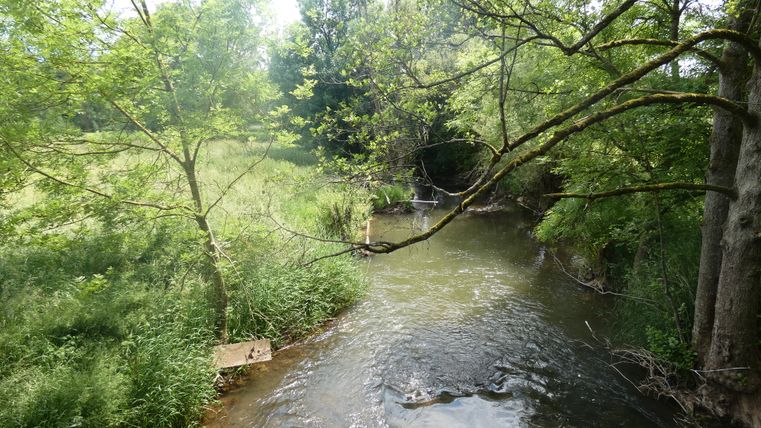 Een kleine rivier stroomt door een groen, bebost landschap.