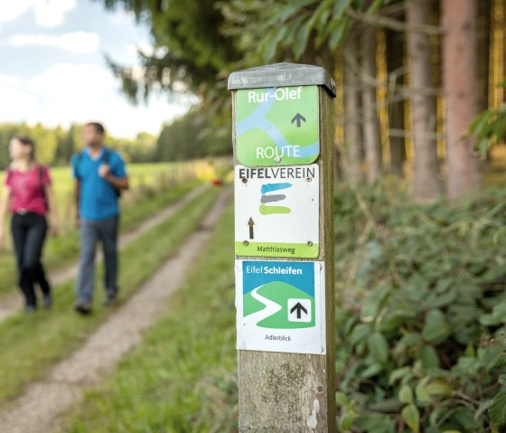 ET-2022-142-Umfeld Greifvogelstation, Harperscheid-@Eifel Tourismus GmbH, Dominik Ketz, © Eifel Tourismus GmbH, Dominik Ketz