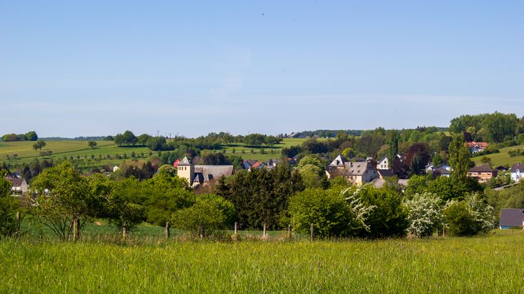 Landschaftsansicht von Dudeldorf mit grünen Feldern und Bäumen im Vordergrund und Dorfgebäuden im Hintergrund.