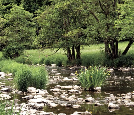 The river Prüm on the Prümtalweg trail, © Naturpark Südeifel, Pierre Haas