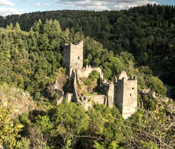 Château bas de Manderscheid, © Rheinland-Pfalz Tourismus GmbH, Dominik Ketz