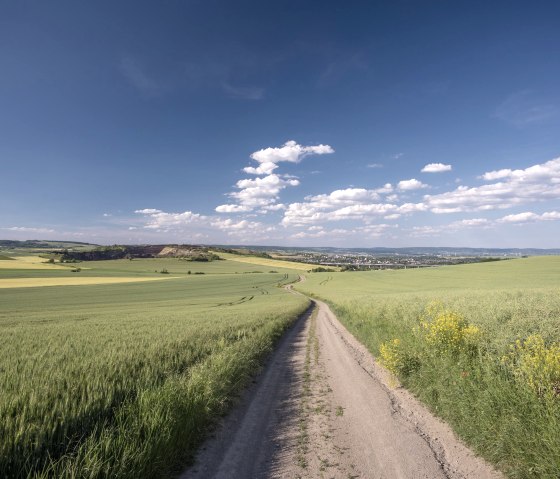 Un beau paysage, © Zweckverband Vulkanregion Laacher See