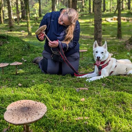 Frau mit Hund, kniend auf moosigem Waldboden, inspiziert einen Pilz