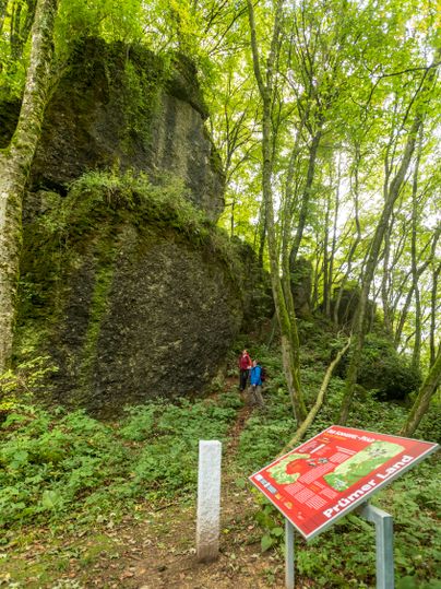 Moosbewachsene Felsen am Schneifel-Pfad im Wald, daneben eine rote Informationstafel und ein weißer Grenzstein zwischen dichtem Laub und Bäumen.