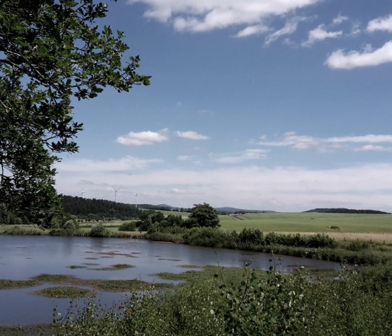 Eichholzmaar, © Alois Handwerk
