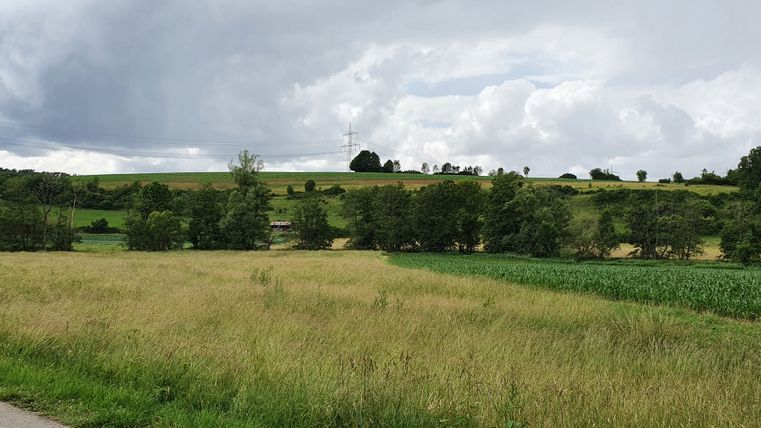Paysage du Bitburger Gutland avec des champs et des arbres sous un ciel nuageux.