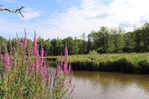 A cozy outdoor area with a wooden table and chairs under a covered terrace roof. In the background, you can see a green landscape and a blue sky.