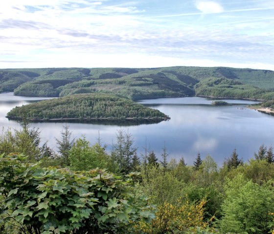 Blick auf Nationalpark, © NLPForstamtMartinWeisgerber